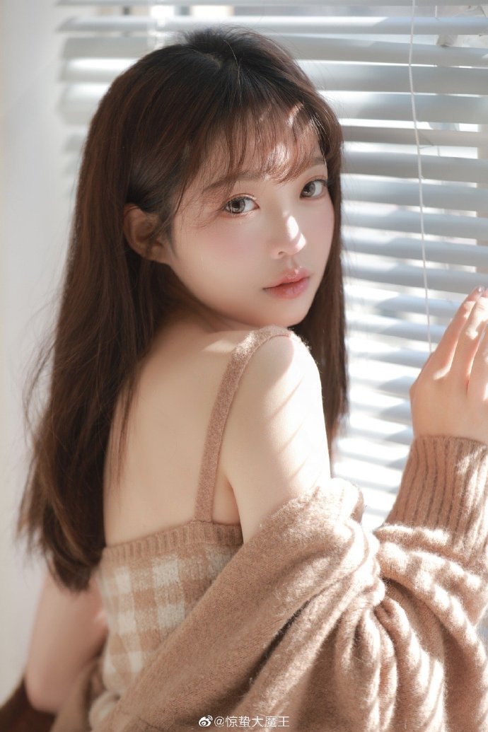 绿皮书